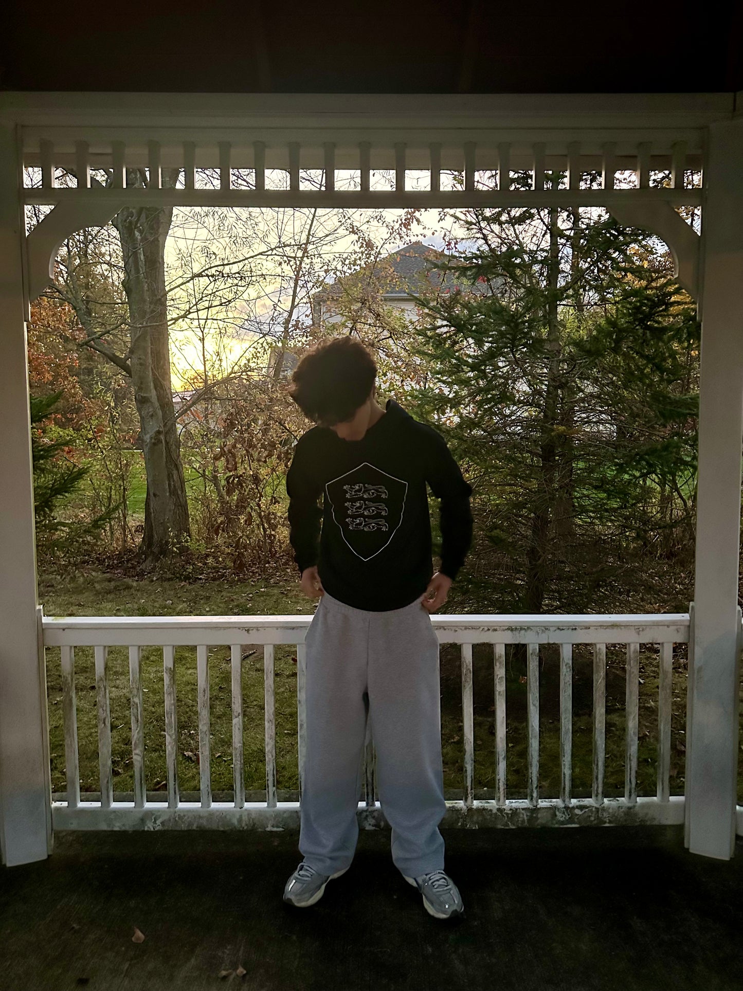 "shielded" hoodie