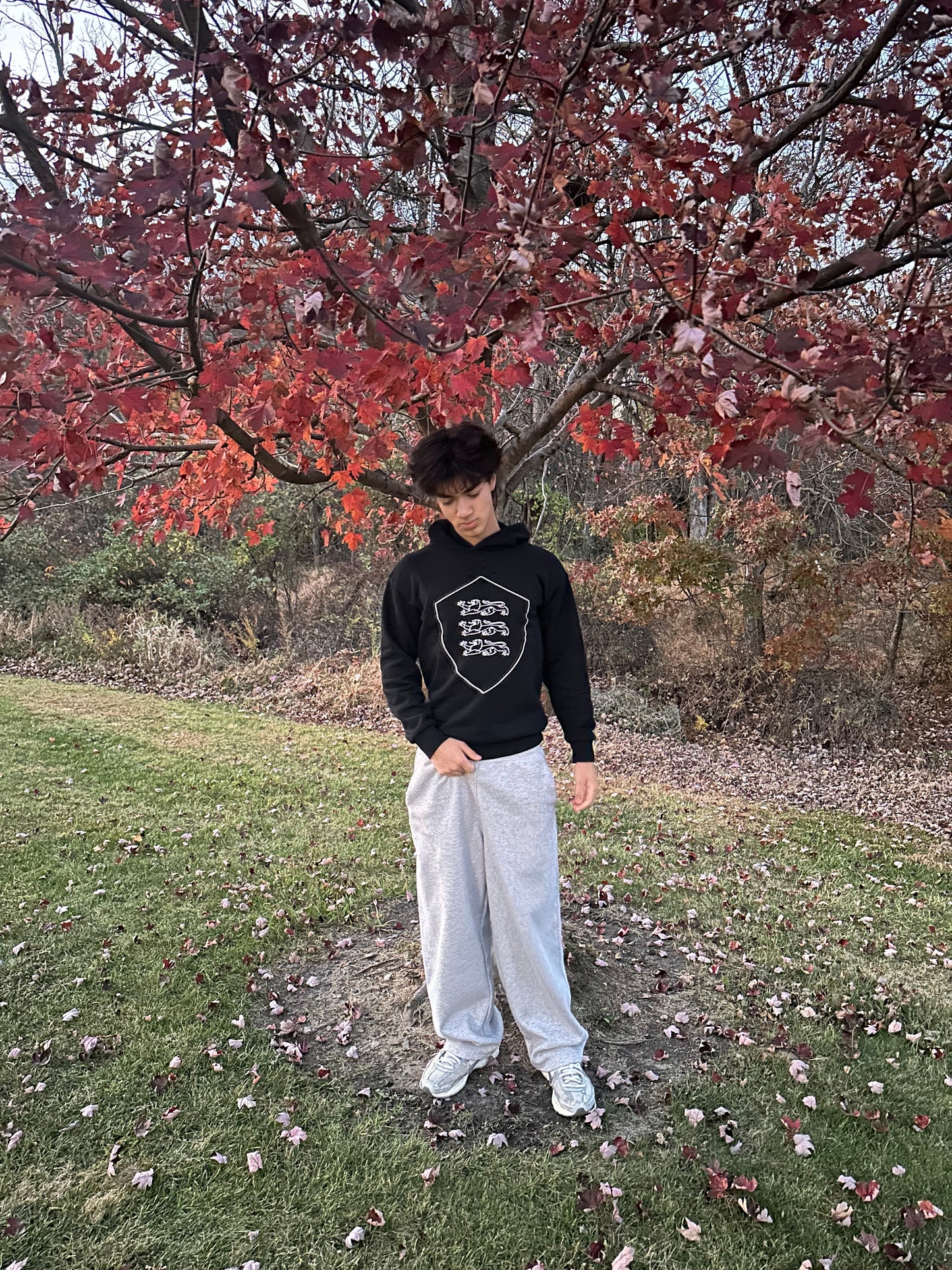 "shielded" hoodie