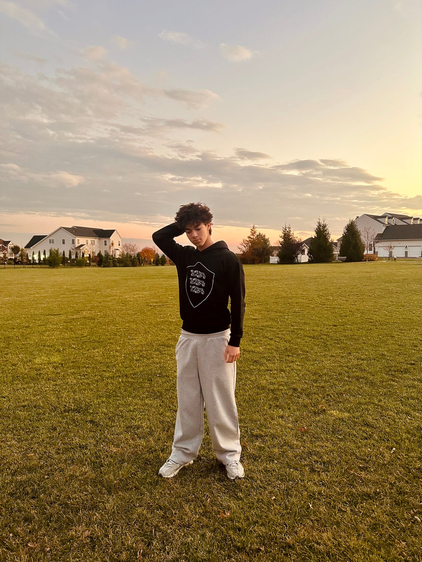 "shielded" hoodie